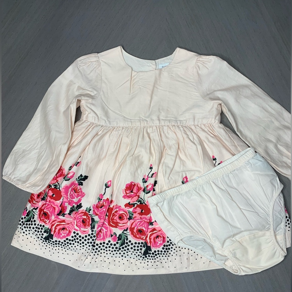 Baby Gap Floral Dress